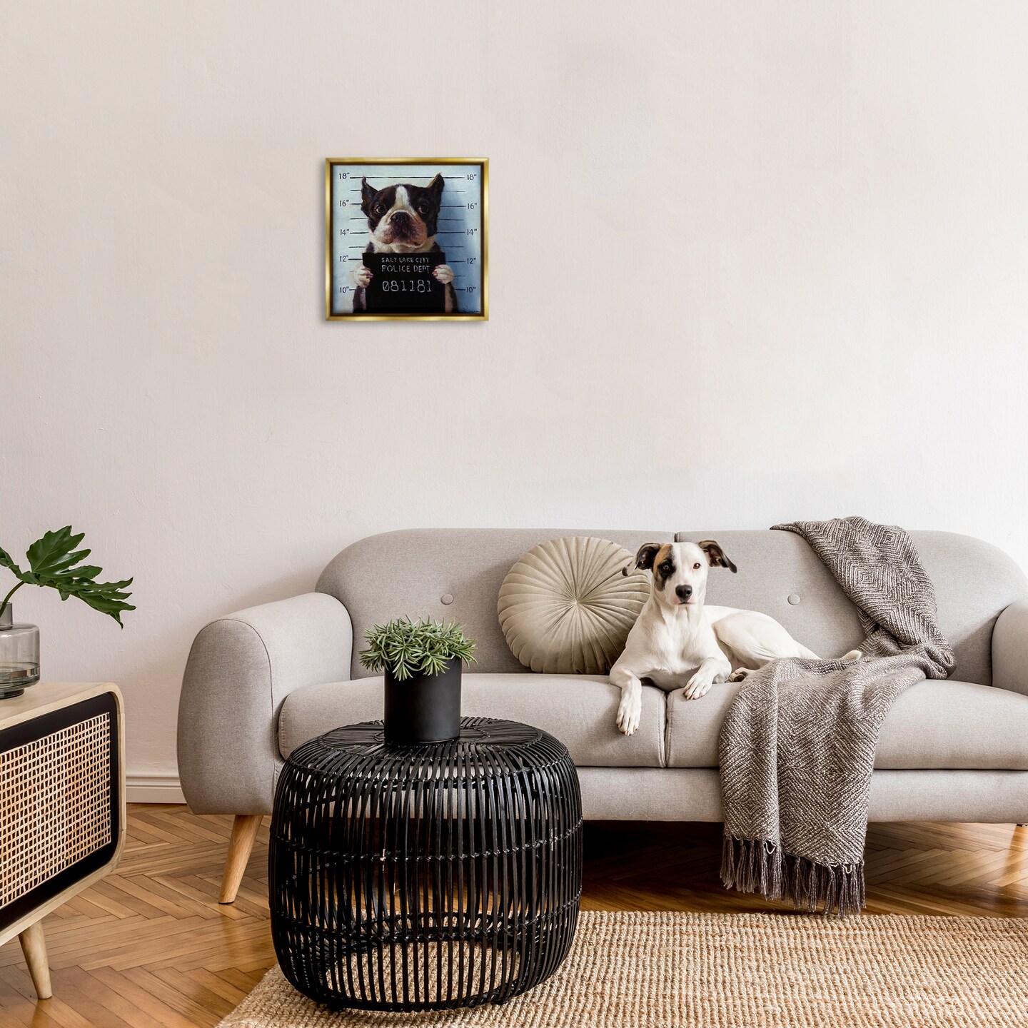 Stupell Industries Boston Terrier Jail Convicted Mugshot Framed Floater Canvas Wall Art