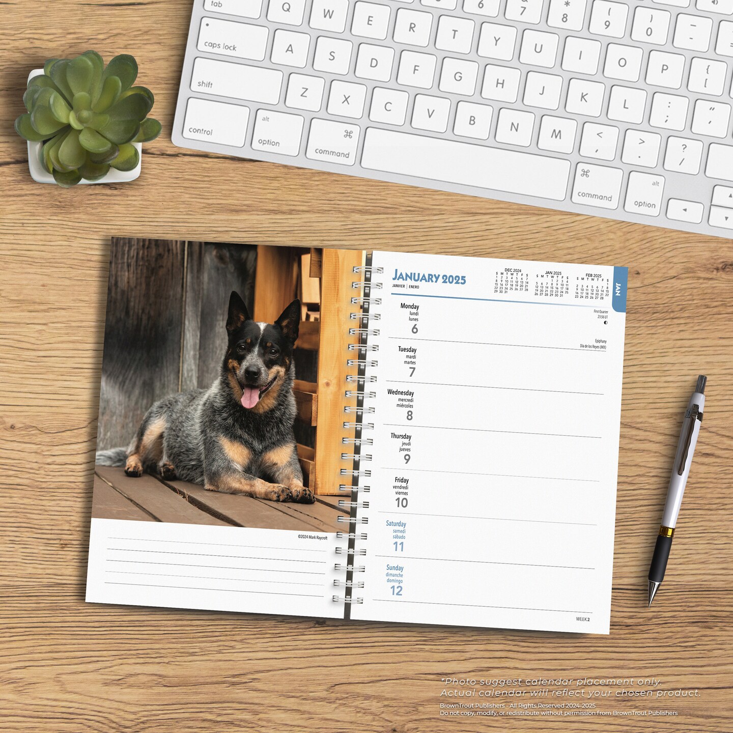 Blue Heelers | 2025 6 x 7.75 Inch Spiral-Bound Wire-O Weekly Engagement Planner Calendar | New Full-Color Image Every Week | BrownTrout | Animals Dog Breeds Pets