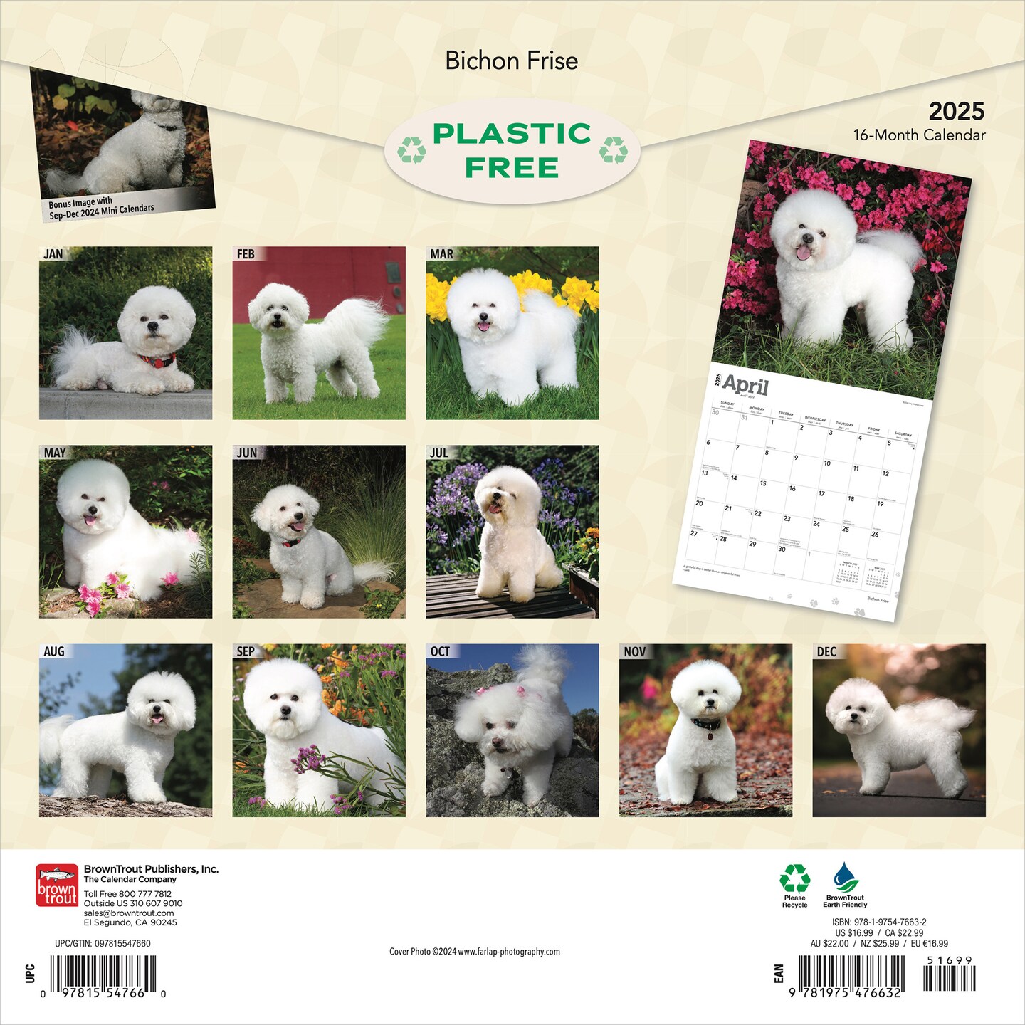 Bichon Frise | 2025 12 x 24 Inch Monthly Square Wall Calendar | Plastic-Free | BrownTrout | Animals Dog Breeds