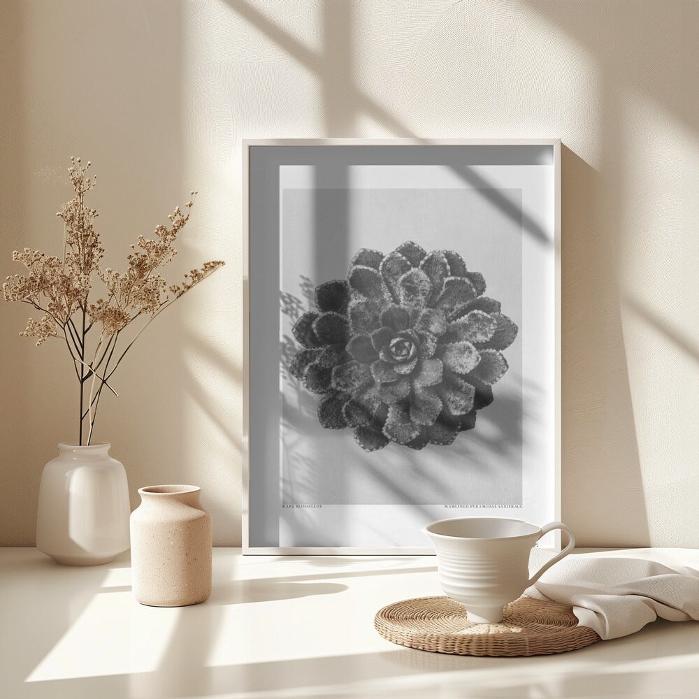 Margined Pyramidal Saxifrage Framed Art Wall Decor