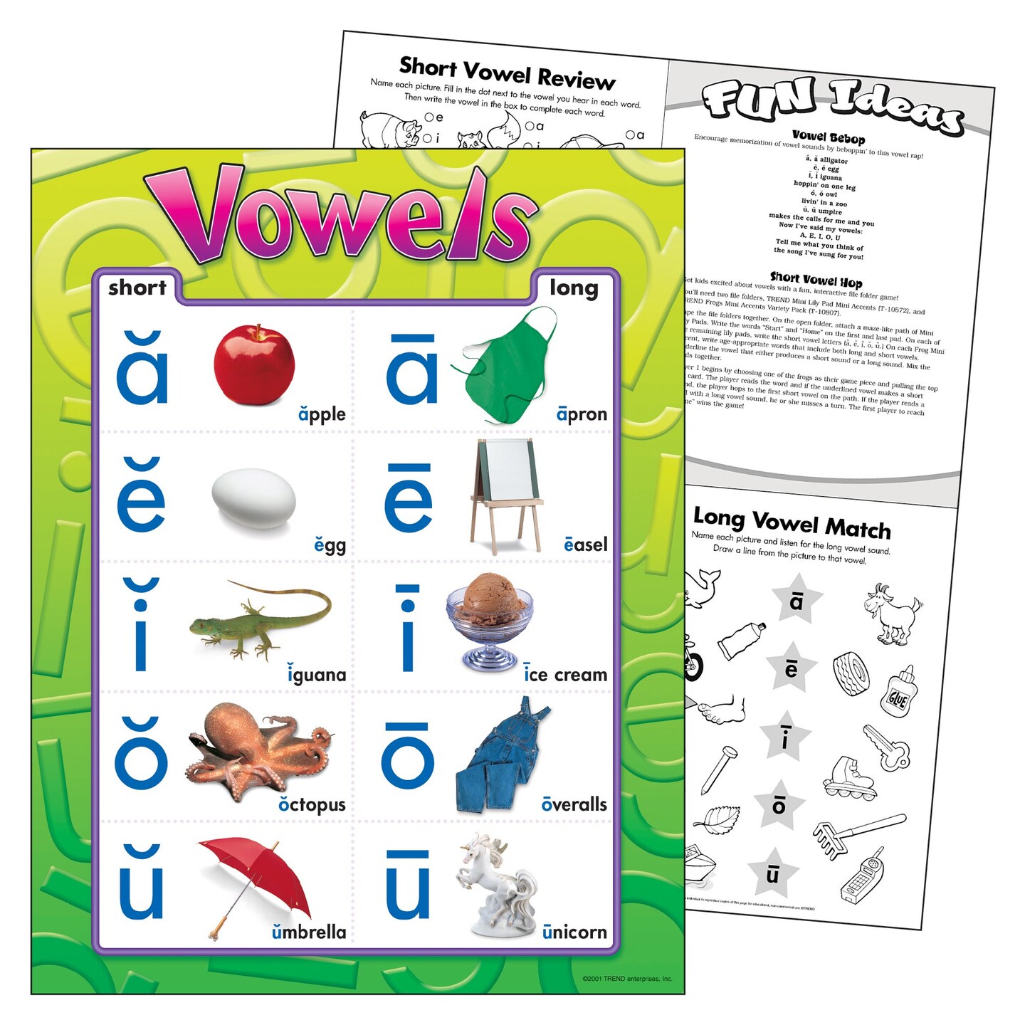 Vowels Learning Chart, 17&#x22; x 22&#x22;