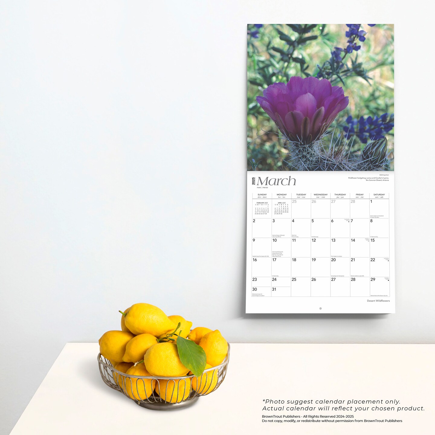 Desert Wildflowers | 2025 12 x 24 Inch Monthly Square Wall Calendar | Plastic-Free | BrownTrout | Floral Outdoor Plant Nature