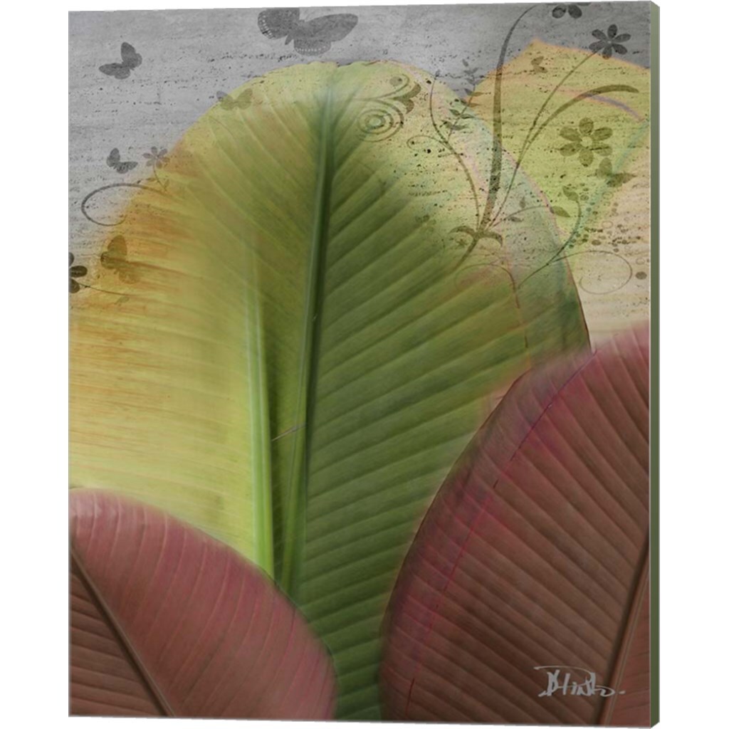 Butterfly Palm by Patricia Pinto 12&#x22; x 15&#x22; Canvas Wall Art (Set of 2)