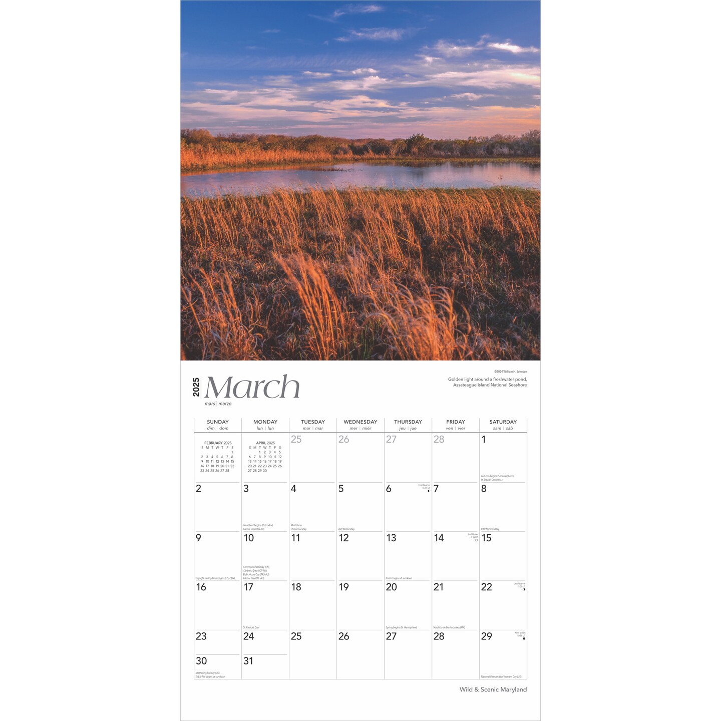 Maryland Wild &#x26; Scenic | 2025 12 x 24 Inch Monthly Square Wall Calendar | Plastic-Free | BrownTrout | USA United States of America Southeast State Nature