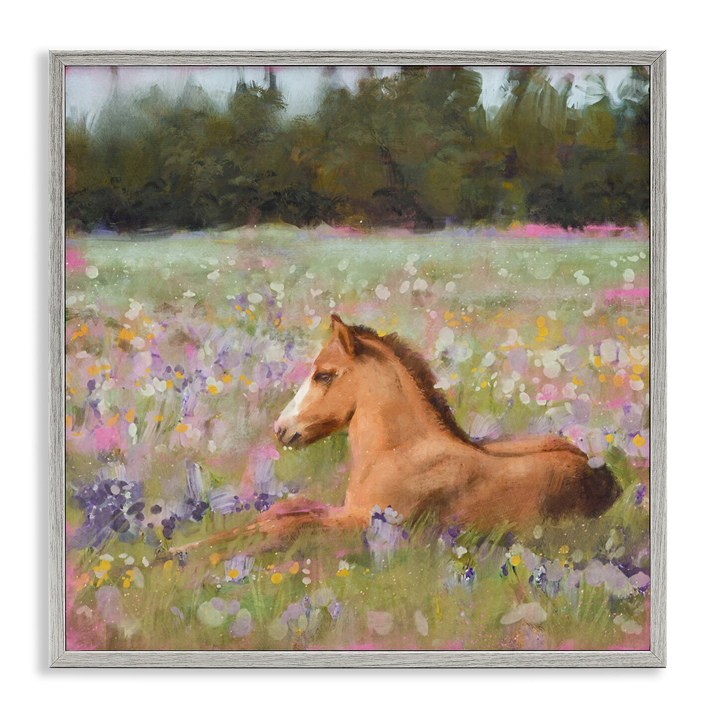 Stupell Industries Foal Horse Lounging Flower Meadow Framed Giclee Art