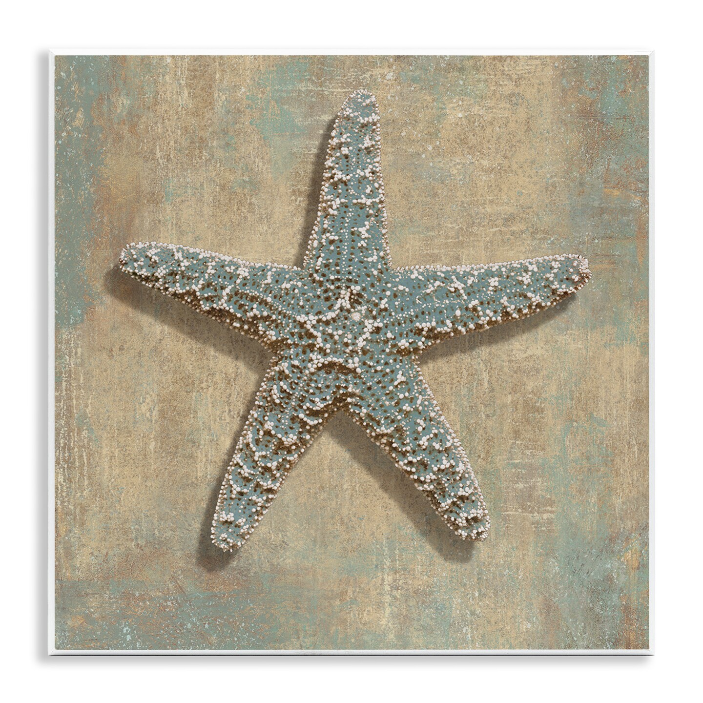 Stupell Industries Starfish Beach Objects Design Wall Plaque Art
