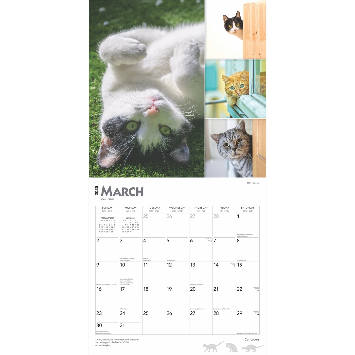 Cat Lovers | 2025 12 x 24 Inch Monthly Square Wall Calendar | Foil Stamped Cover | Plastic-Free | BrownTrout | Animals Domestic Kittens Feline