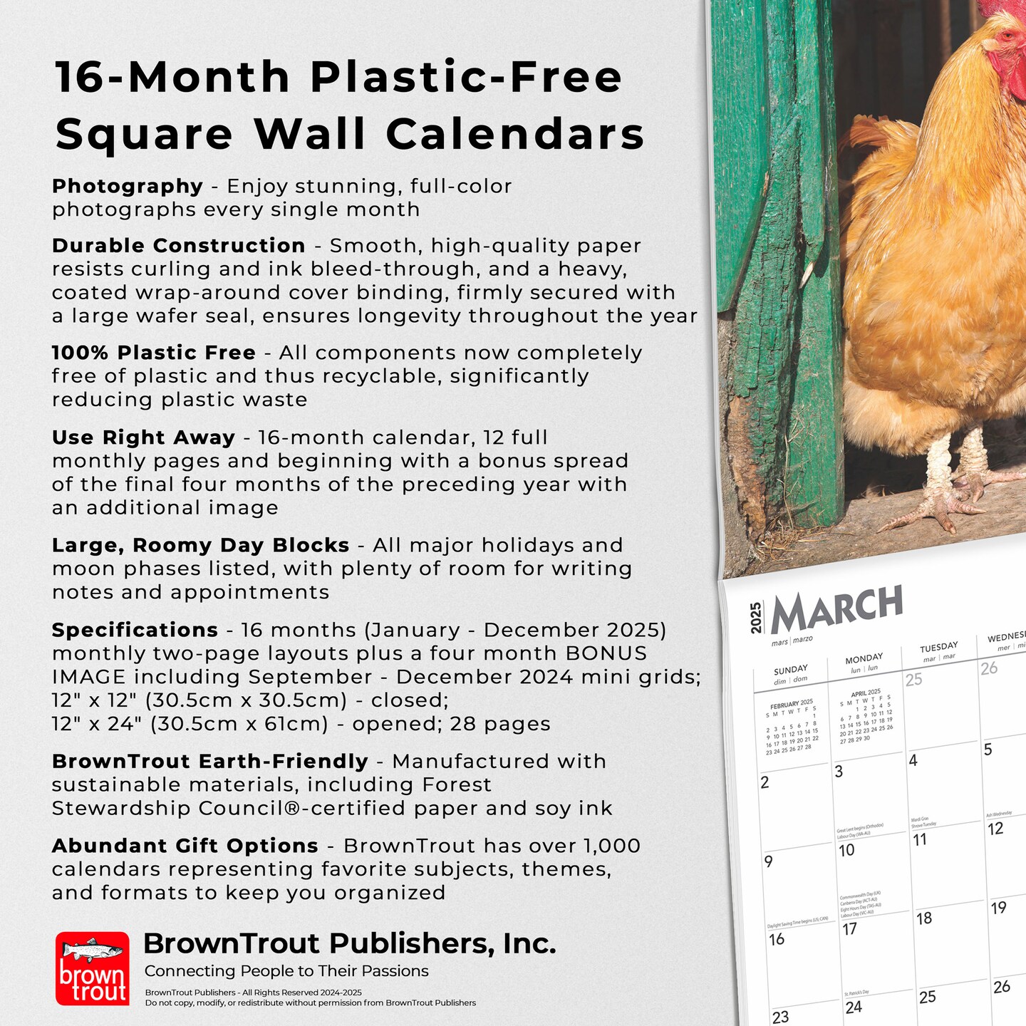 Roosters | 2025 12 x 24 Inch Monthly Square Wall Calendar | Plastic-Free | BrownTrout | Domestic Farm Barn Animals 