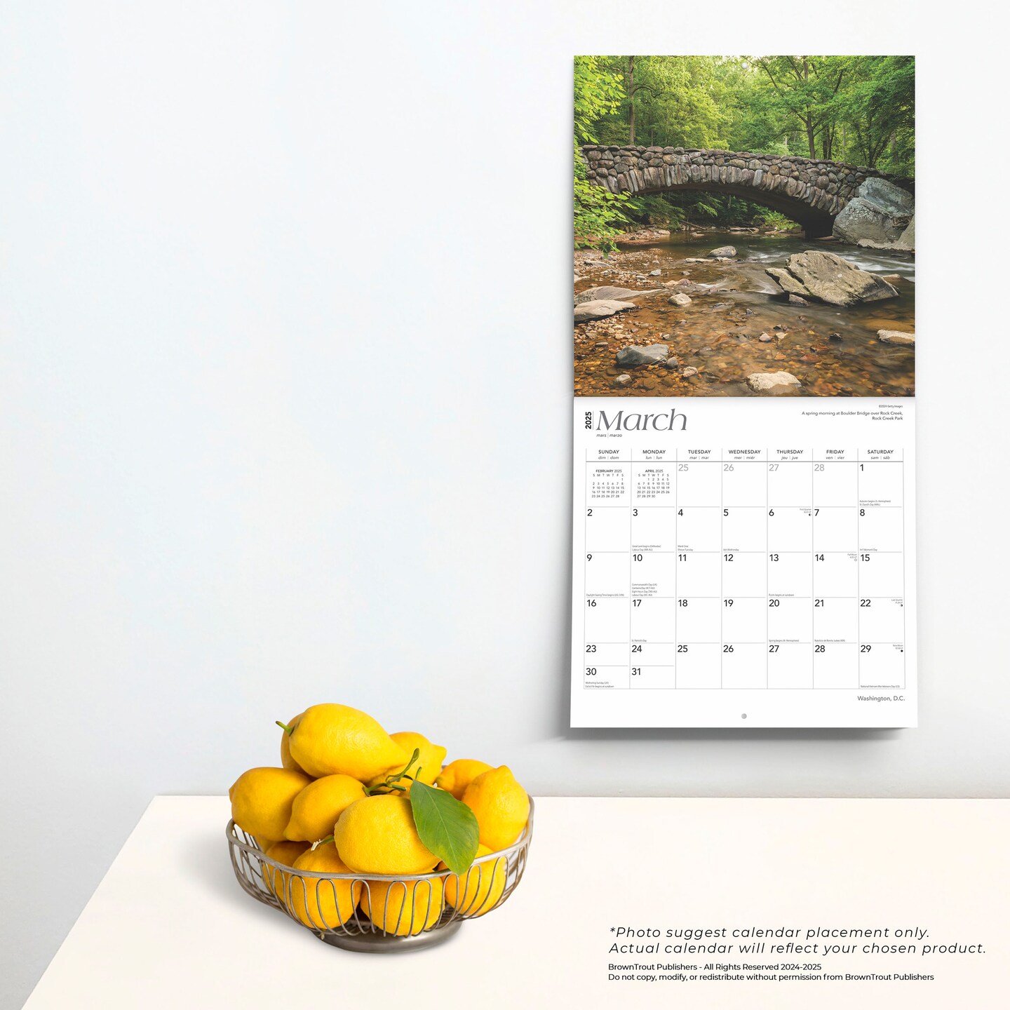 Washington D.C. | 2025 12 x 24 Inch Monthly Square Wall Calendar | Plastic-Free | BrownTrout | USA United States of America Capital Northeast City