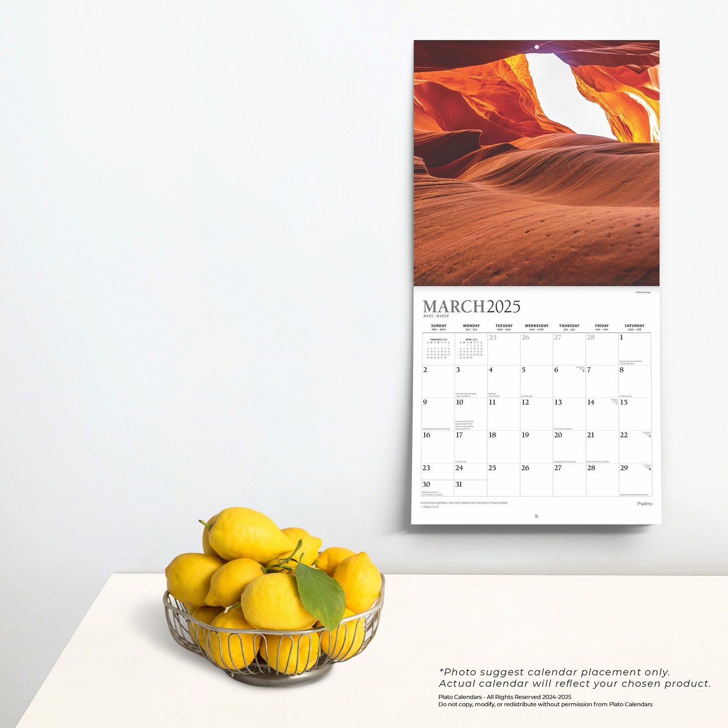 Psalms | 2025 12 x 24 Inch Monthly Square Wall Calendar | Foil Stamped Cover | Plato | Religion Hymns Lord