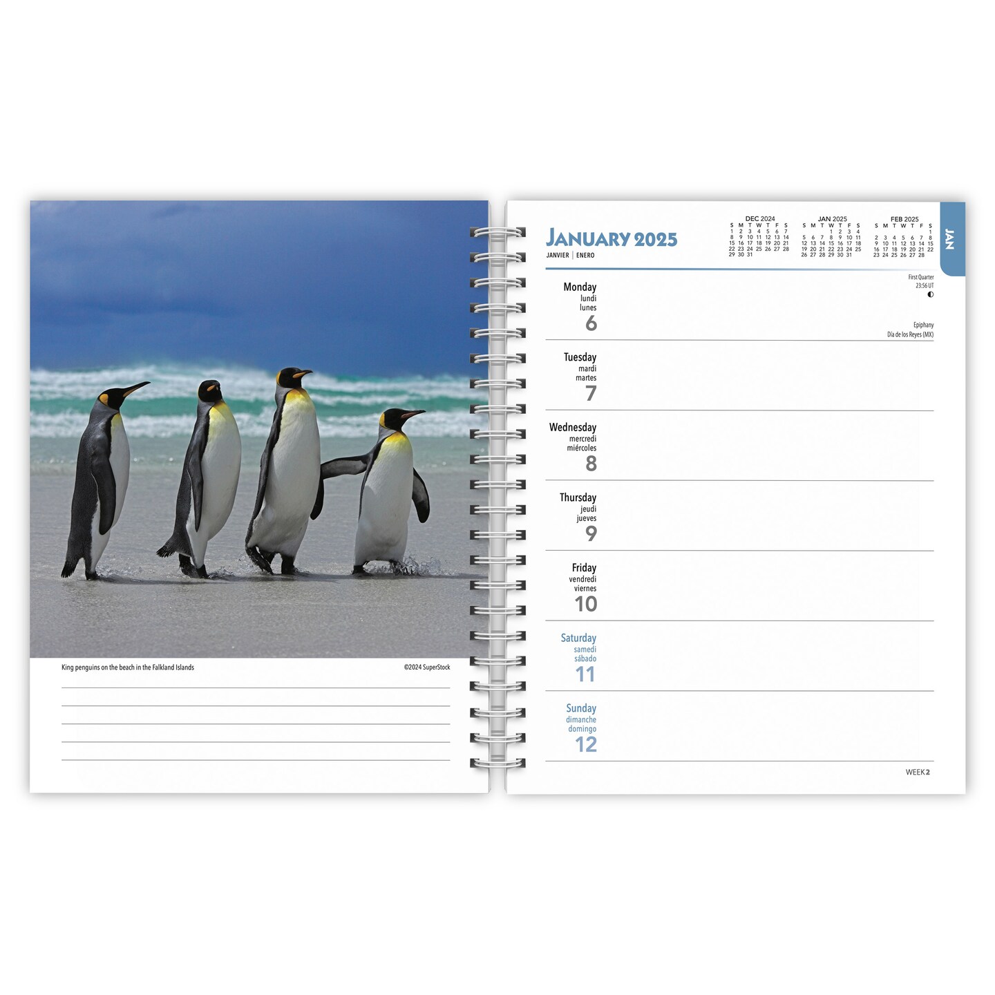 Beaches | 2025 6 x 7.75 Inch Spiral-Bound Wire-O Weekly Engagement Planner Calendar | New Full-Color Image Every Week | BrownTrout | Travel Nature Tropical