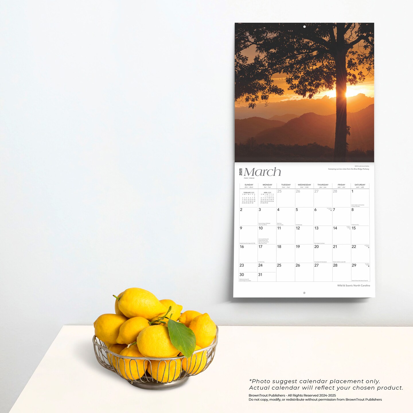 North Carolina Wild &#x26; Scenic | 2025 12 x 24 Inch Monthly Square Wall Calendar | Plastic-Free | BrownTrout | USA United States of America Southeast State Nature