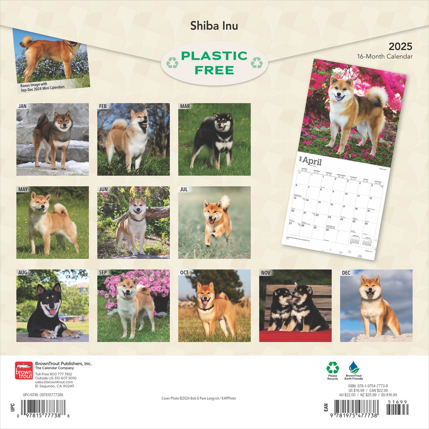 Shiba Inu | 2025 12 x 24 Inch Monthly Square Wall Calendar | Plastic-Free | BrownTrout | Animals Asian Dog Breeds