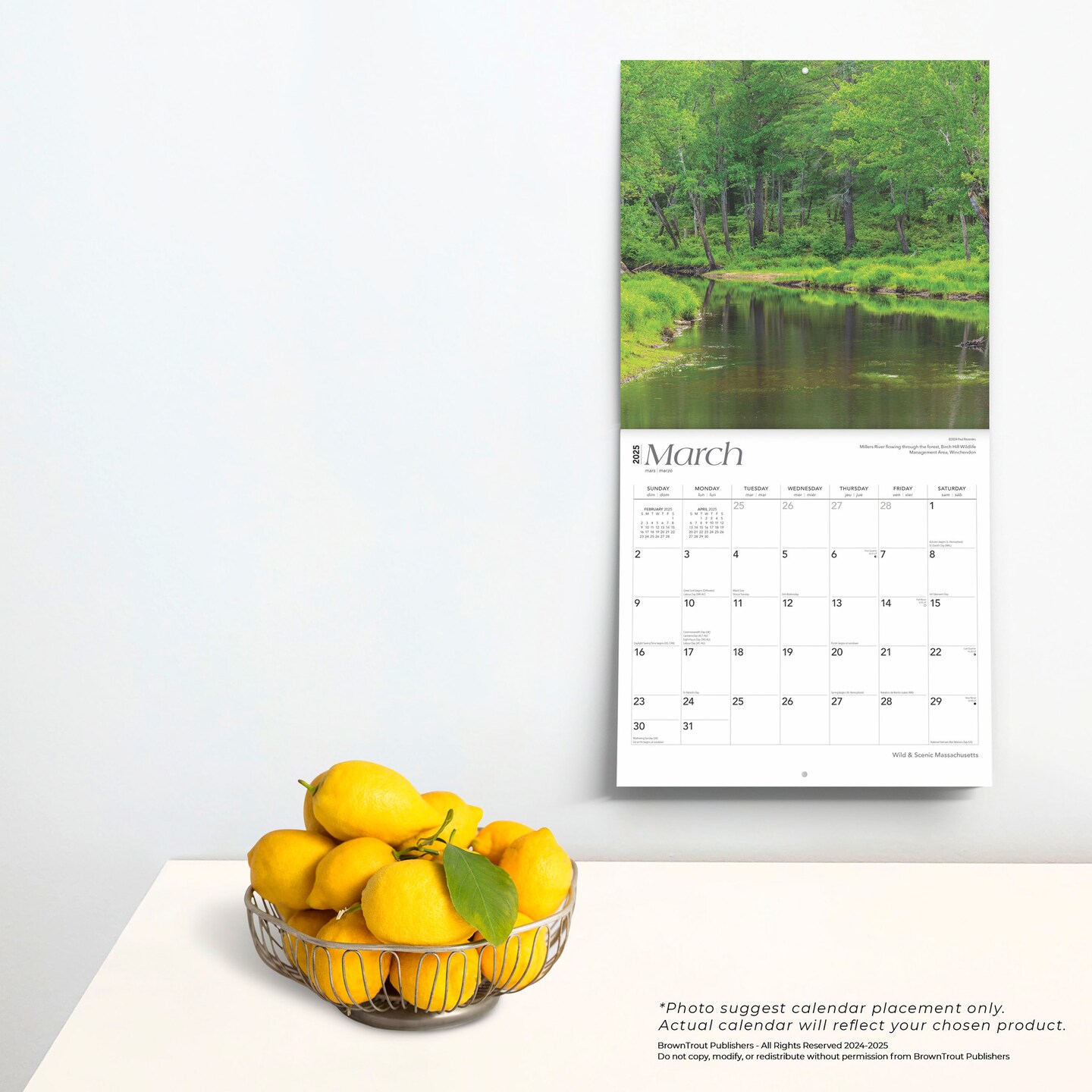 Massachusetts Wild &#x26; Scenic | 2025 12 x 24 Inch Monthly Square Wall Calendar | Plastic-Free | BrownTrout | USA United States of America Northeast State Nature