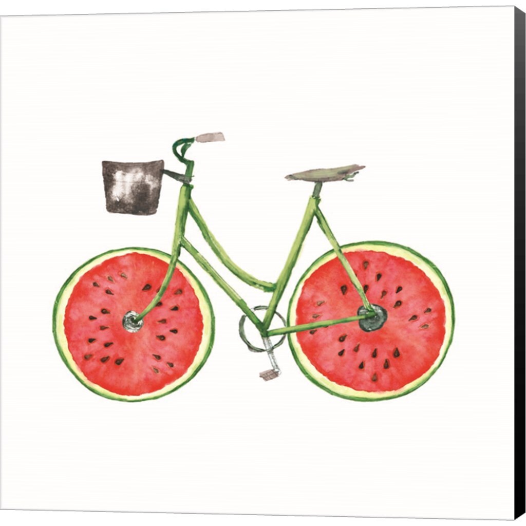 Watermelon Bike by Dogwood Portfolio 24