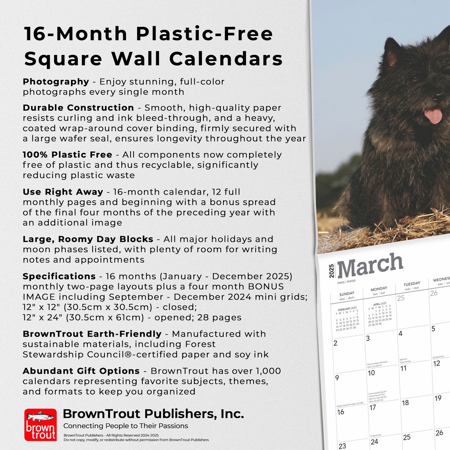Cairn Terriers | 2025 12 x 24 Inch Monthly Square Wall Calendar | Plastic-Free | BrownTrout | Animals Dog Breeds