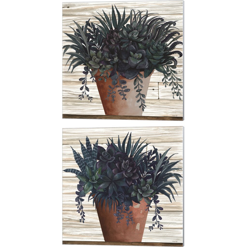 Remarkable Succulents by Cindy Jacobs 14&#x22; x 14&#x22; Canvas Wall Art (Set of 2)