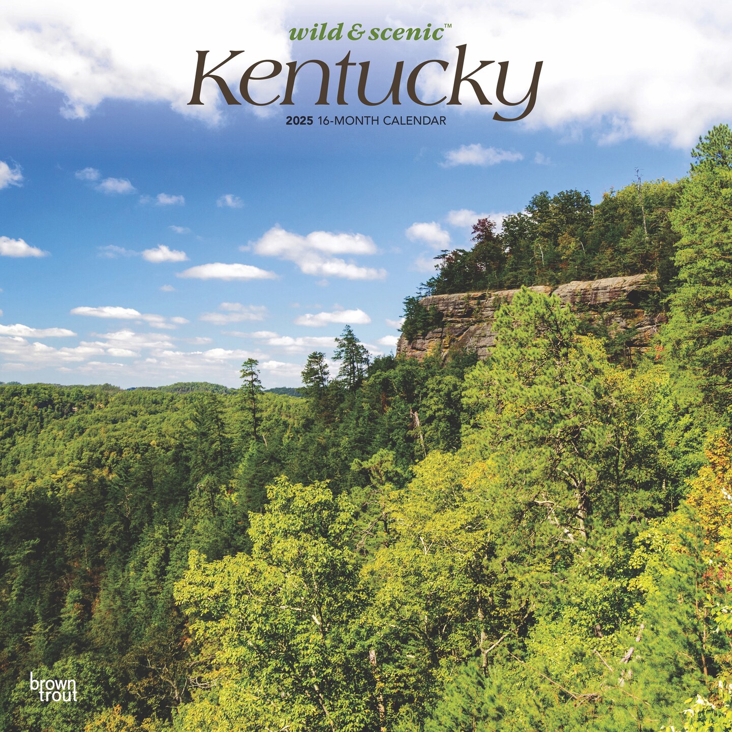 Kentucky Wild &#x26; Scenic | 2025 12 x 24 Inch Monthly Square Wall Calendar | Plastic-Free | BrownTrout | USA United States of America Southeast State Nature