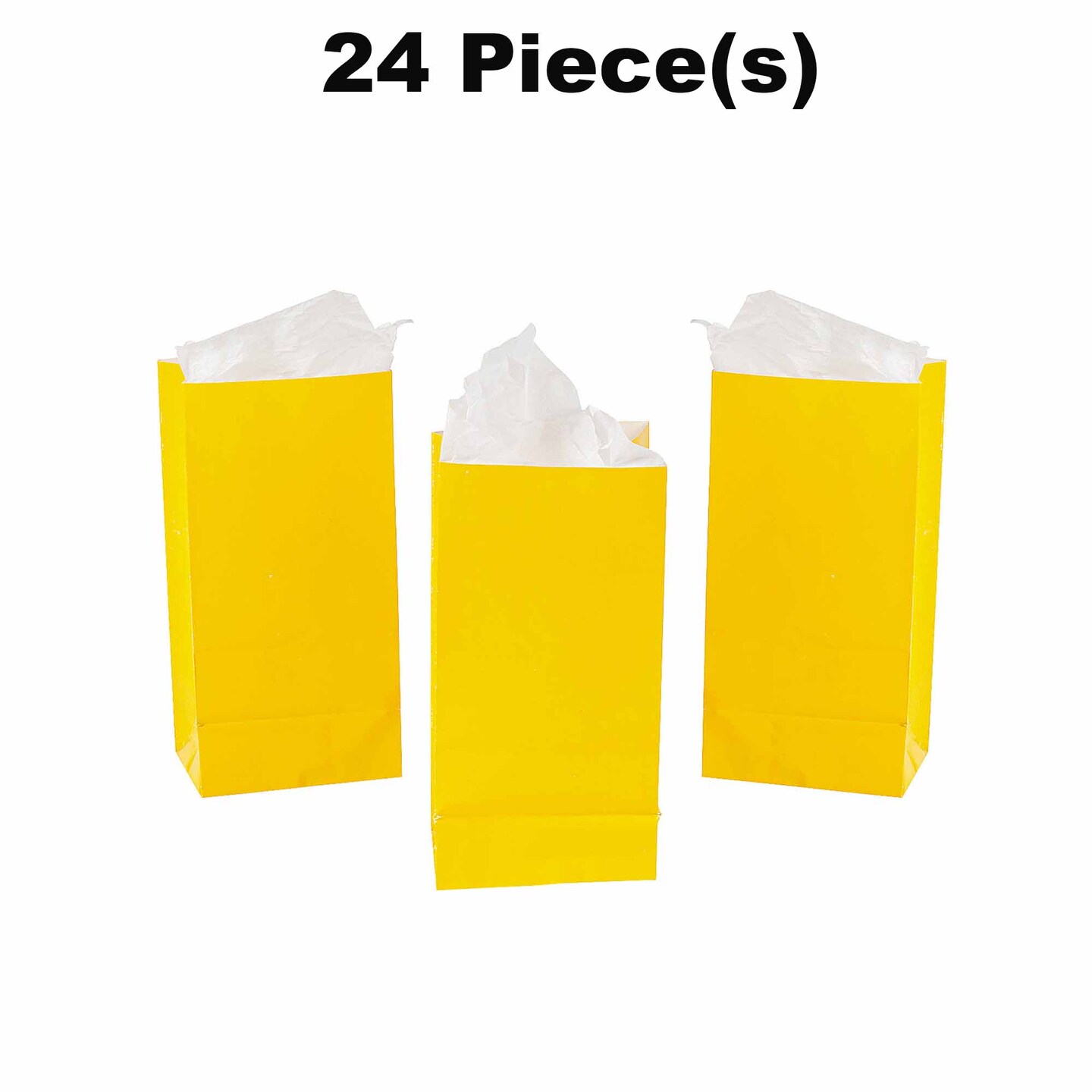 Mini Treat Bags - 24 Pc.
