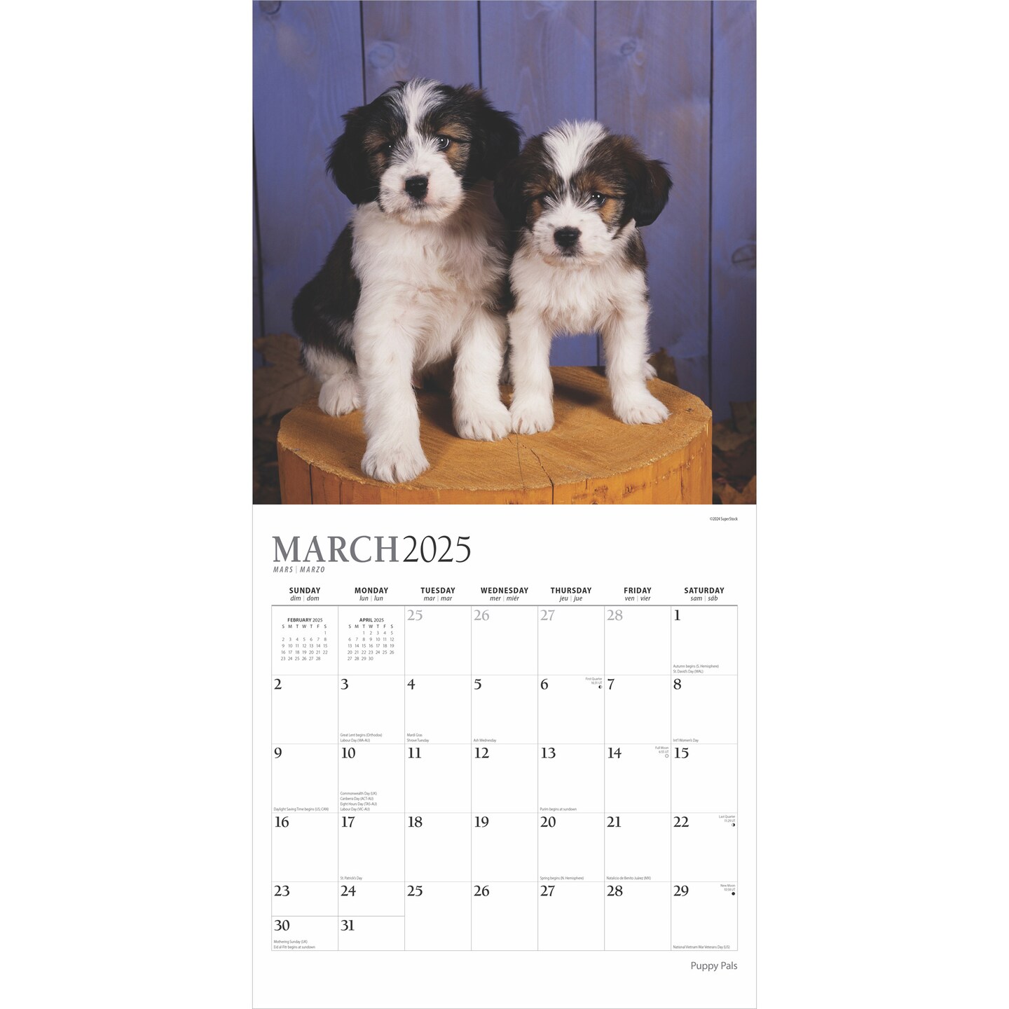 Puppy Pals | 2025 12 x 24 Inch Monthly Square Wall Calendar | Foil Stamped Cover | Plato | Animals Dog Breeds Pets