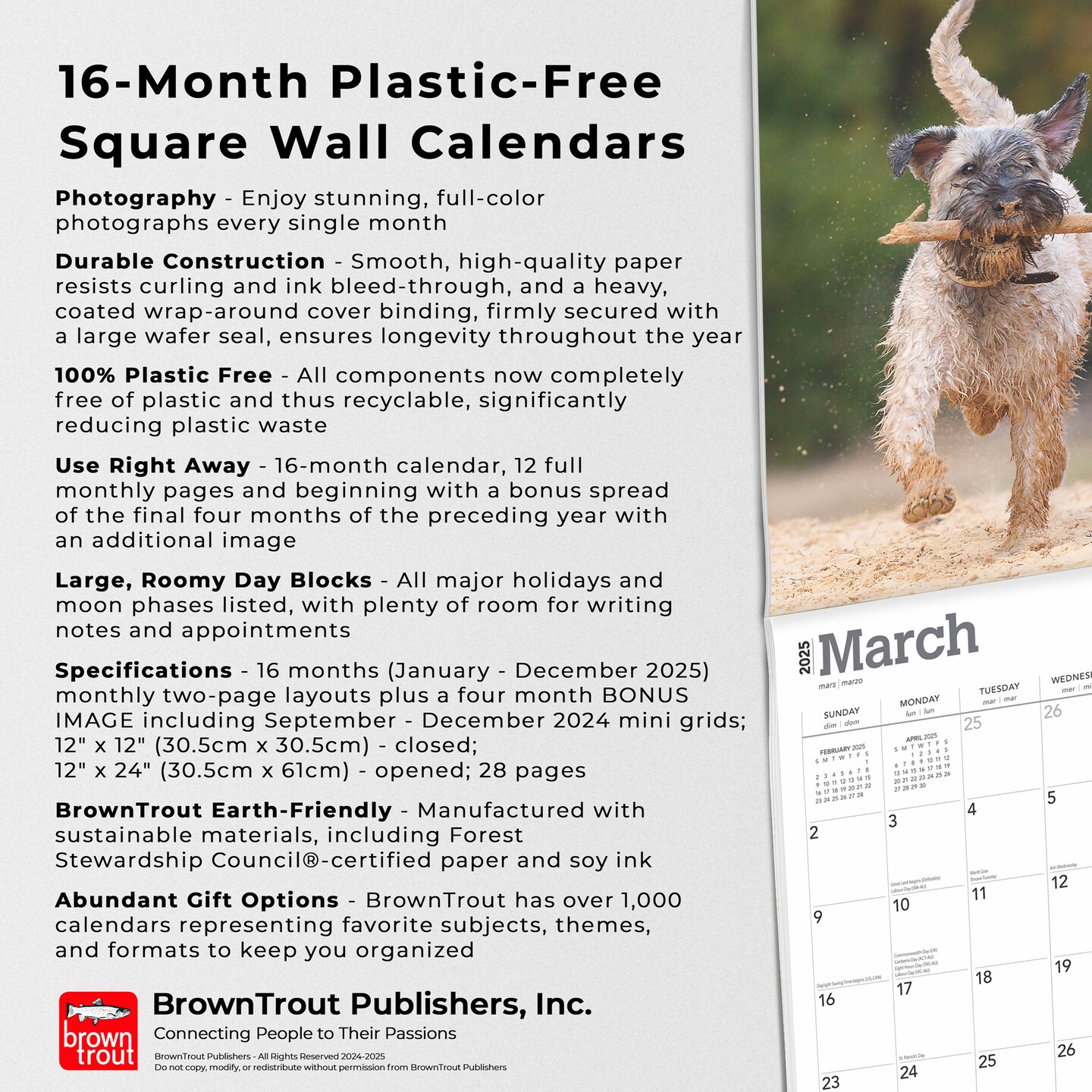 Soft Coated Wheaten Terriers | 2025 12 x 24 Inch Monthly Square Wall Calendar | Plastic-Free | BrownTrout | Animals Dog Breeds