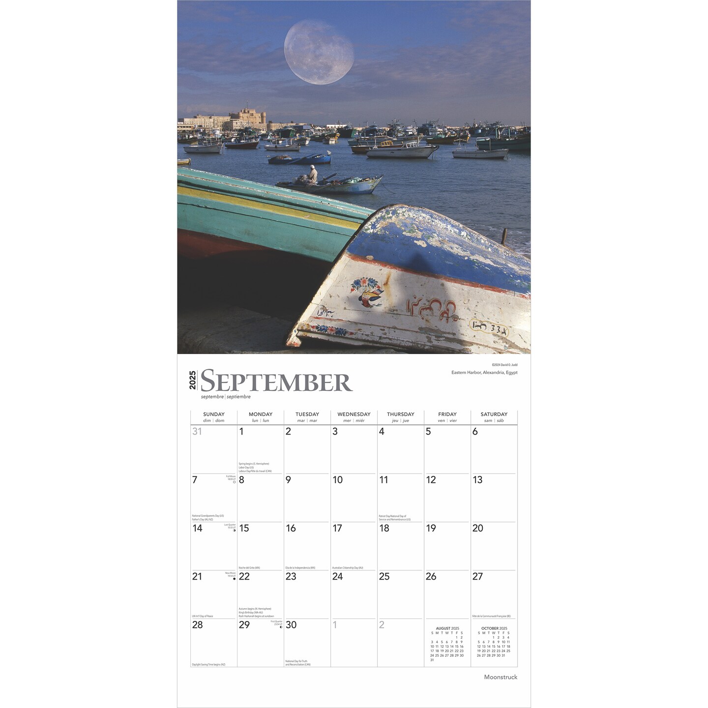 Moonstruck | 2025 12 x 24 Inch Monthly Square Wall Calendar | Foil Stamped Cover | Plastic-Free | BrownTrout | Lunar Stars Sky