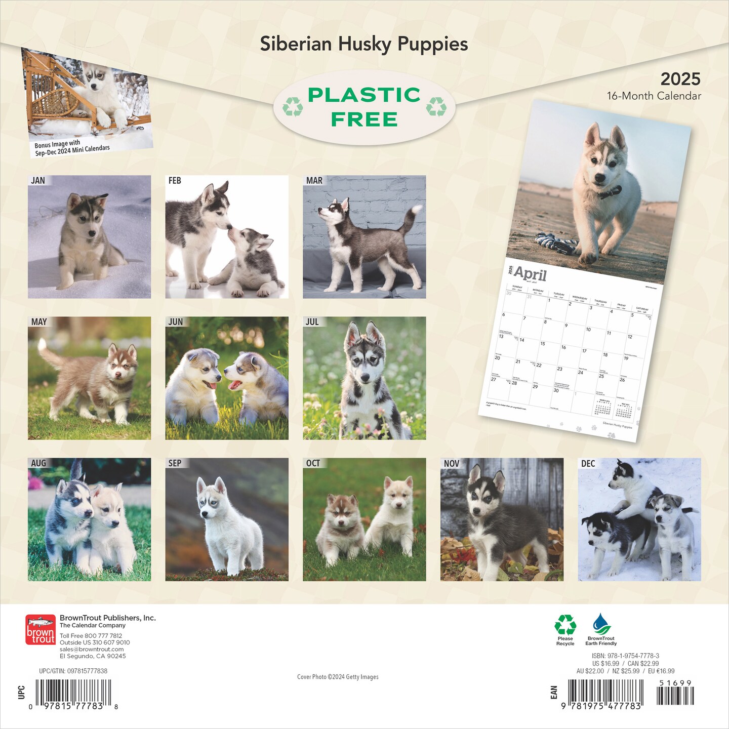 Siberian Husky Puppies | 2025 12 x 24 Inch Monthly Square Wall Calendar | Plastic-Free | BrownTrout | Animal Dog Breeds