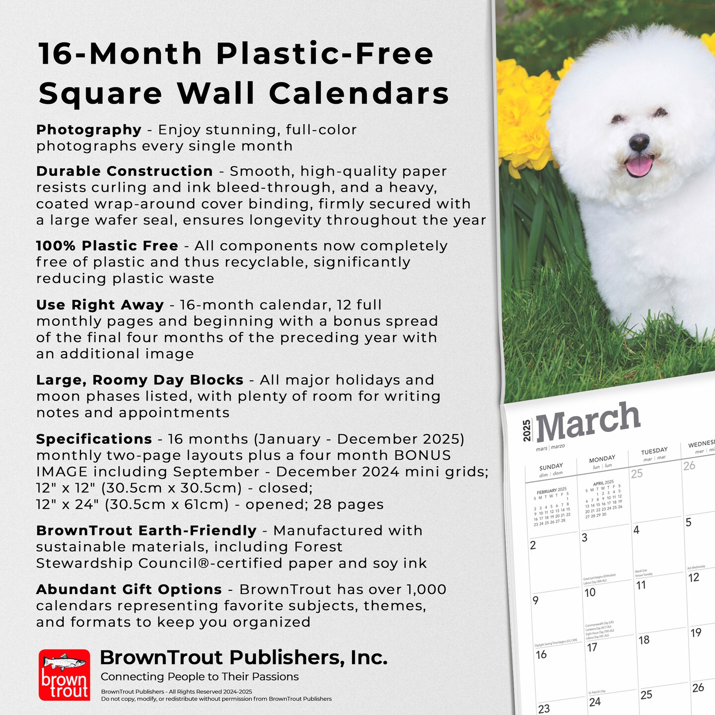 Bichon Frise | 2025 12 x 24 Inch Monthly Square Wall Calendar | Plastic-Free | BrownTrout | Animals Dog Breeds