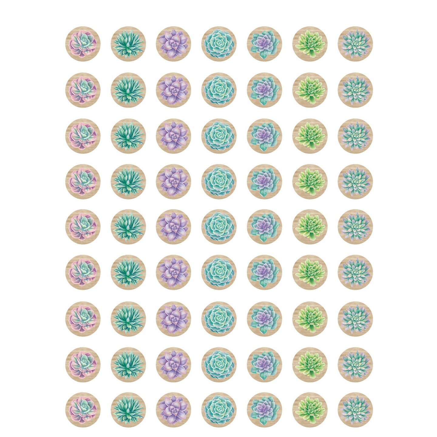 Rustic Bloom Succulents Mini Stickers, Pack of 378