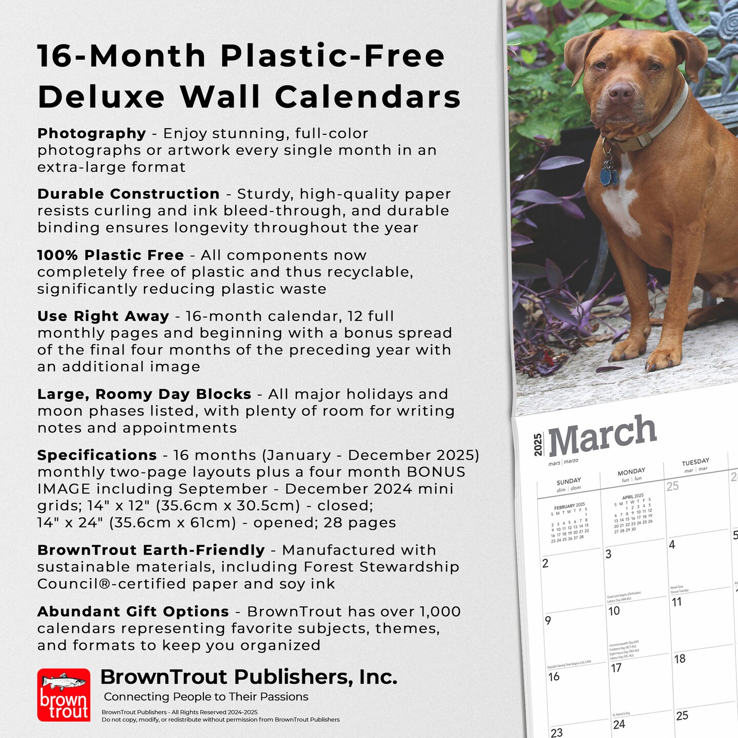 For the Love of American Pit Bull Terriers | 2025 14 x 24 Inch Monthly Deluxe Wall Calendar | Foil Stamped Cover | Plastic-Free | BrownTrout | Animal Dog Breeds