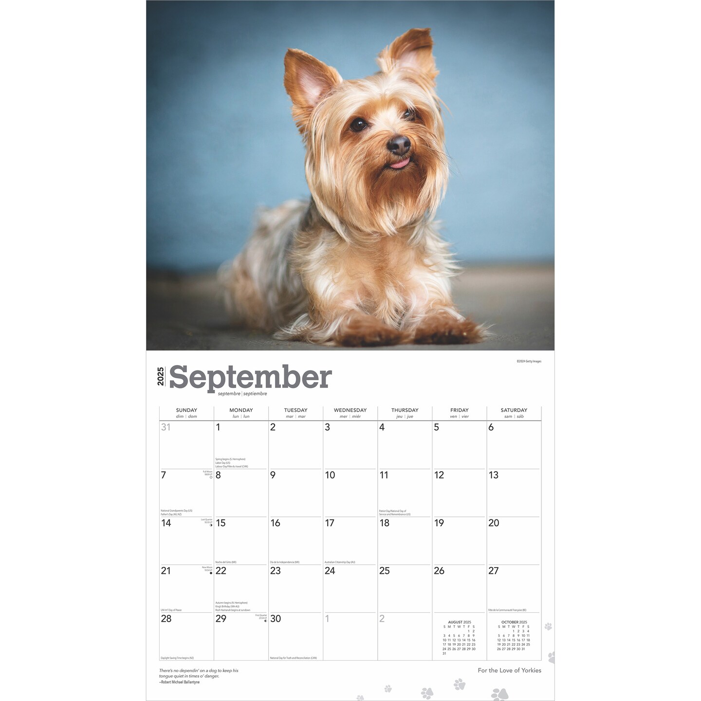 For the Love of Yorkshire Terriers | 2025 14 x 24 Inch Monthly Deluxe Wall Calendar | Foil Stamped Cover | Plastic-Free | BrownTrout | Animal Small Dog Breeds