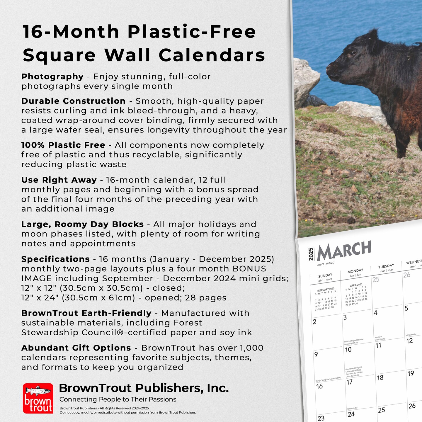 Cows | 2025 12 x 24 Inch Monthly Square Wall Calendar | Plastic-Free | BrownTrout | Domestic Farm Animals