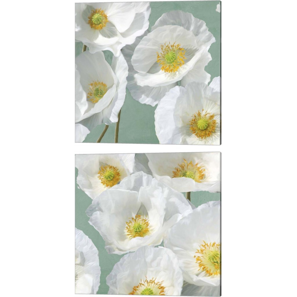Poppies on Mint by Leonardo Sanna 14" x 14" Canvas Wall Art (Set of 2)