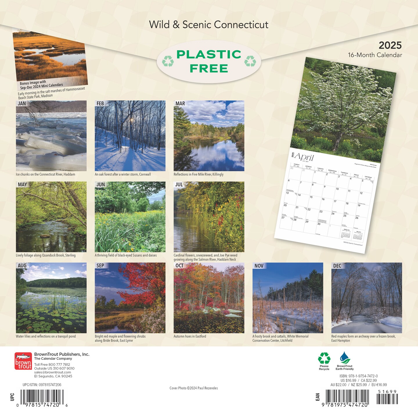 Connecticut Wild &#x26; Scenic | 2025 12 x 24 Inch Monthly Square Wall Calendar | Plastic-Free | BrownTrout | USA United States of America Northeast State Nature