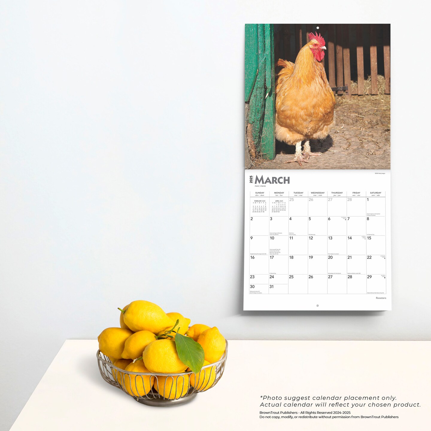 Roosters | 2025 12 x 24 Inch Monthly Square Wall Calendar | Plastic-Free | BrownTrout | Domestic Farm Barn Animals 