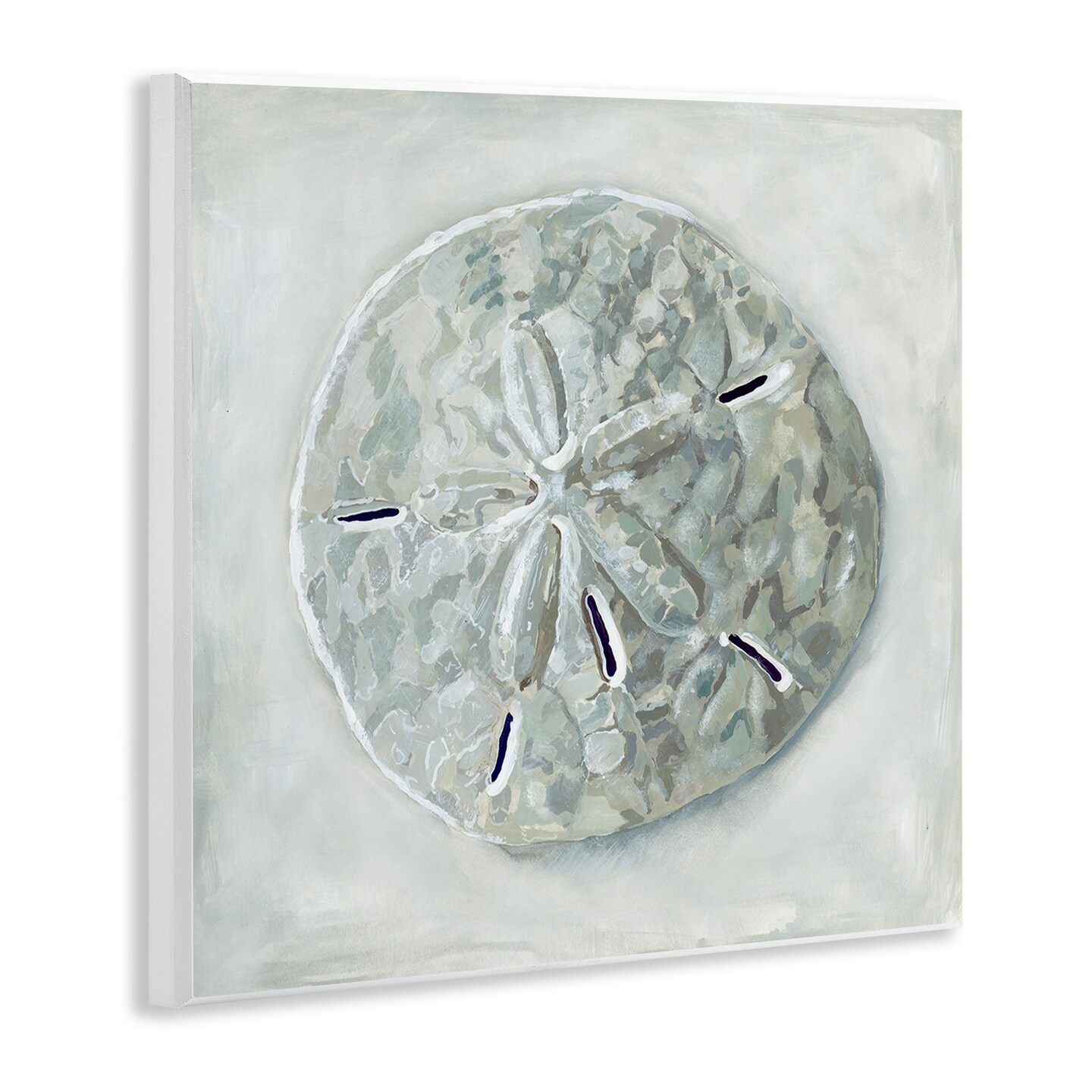 Stupell Industries Grey Sand Dollar Seashell Wall Plaque Art