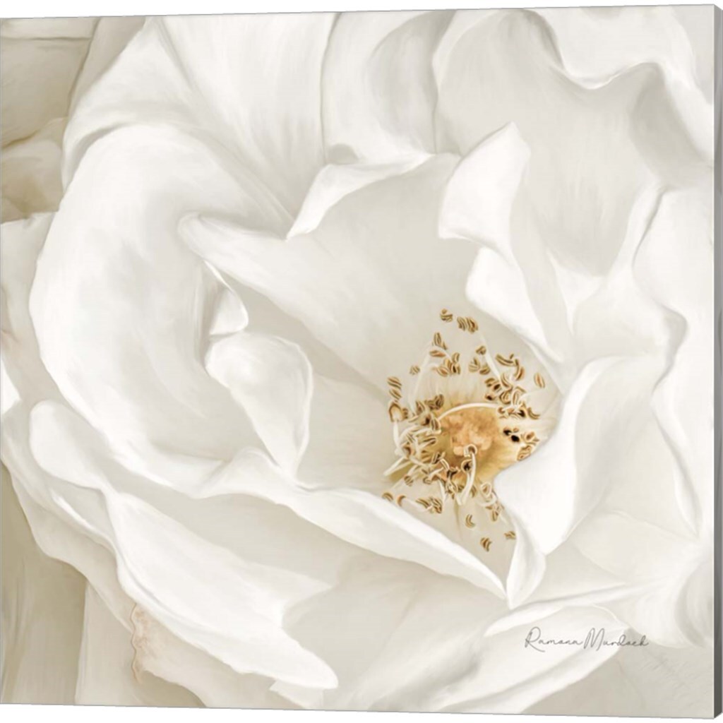 Neutral Rose by Ramona Murdock 14" x 14" Canvas Wall Art (Set of 2)
