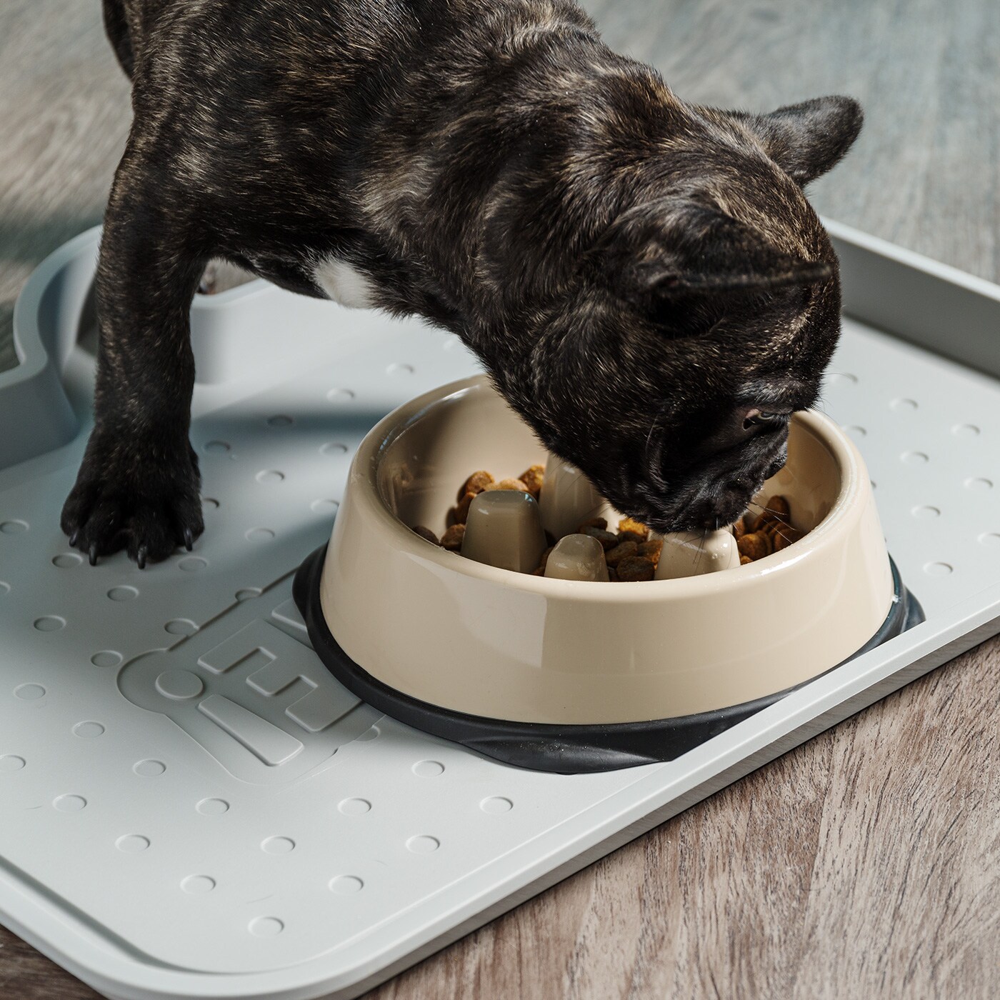 IRIS USA 2Cup/4Cup Slow Feeder Dog Bowl for Pets