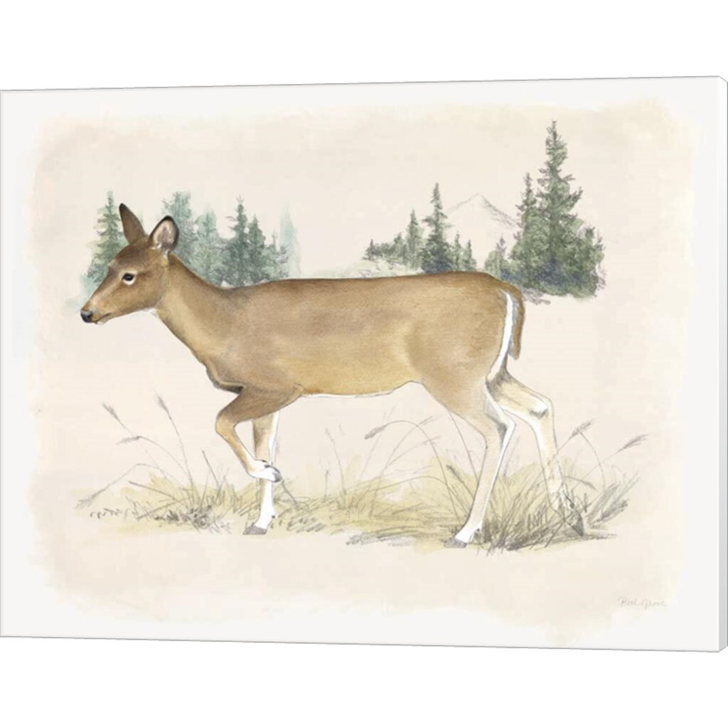 Wilderness Collection Deer by Beth Grove 20" x 16" Canvas Wall Art