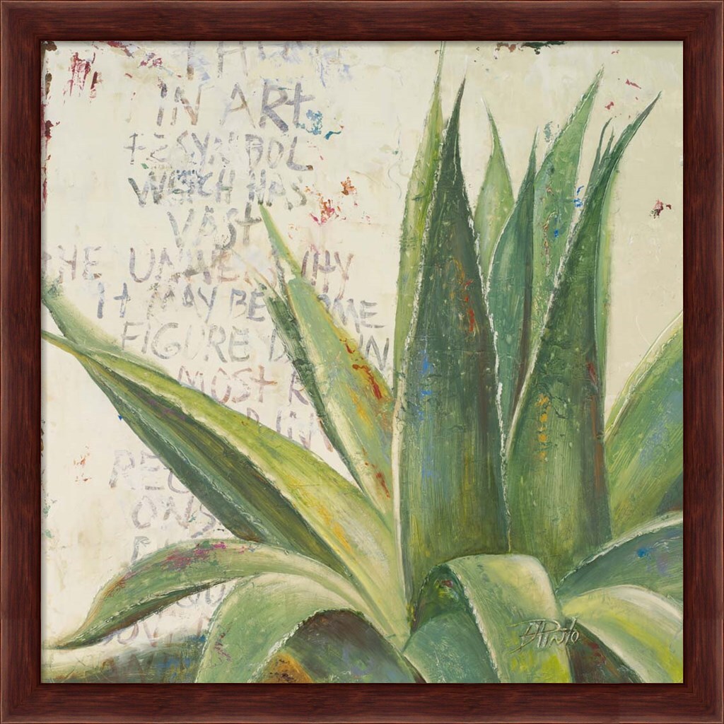Aloe I by Patricia Pinto 13&#x22; x 13&#x22; Framed Wall Art