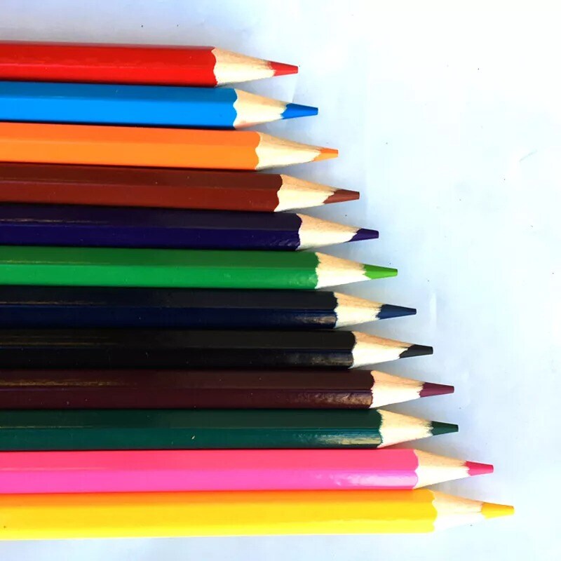 Art Supply Colored Pencils