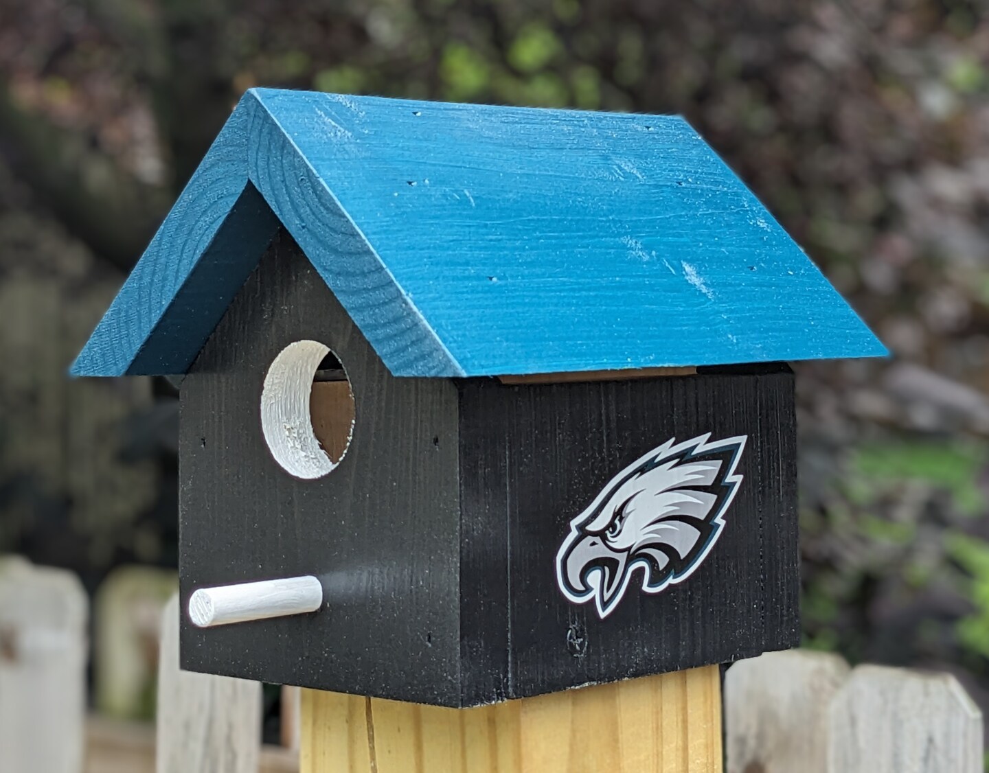 Orders Eagle Birdhouse