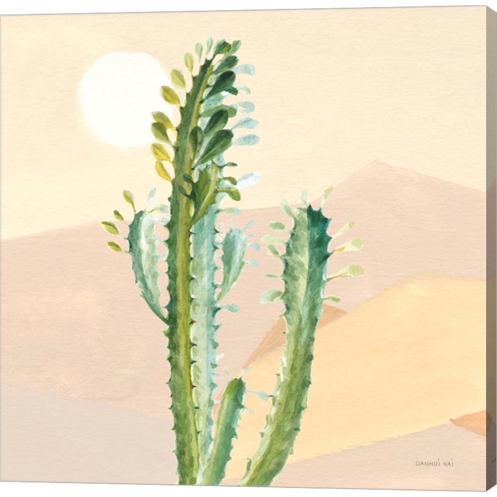 Desert Greenhouse II by Danhui Nai 12&#x22; x 12&#x22; Canvas Wall Art