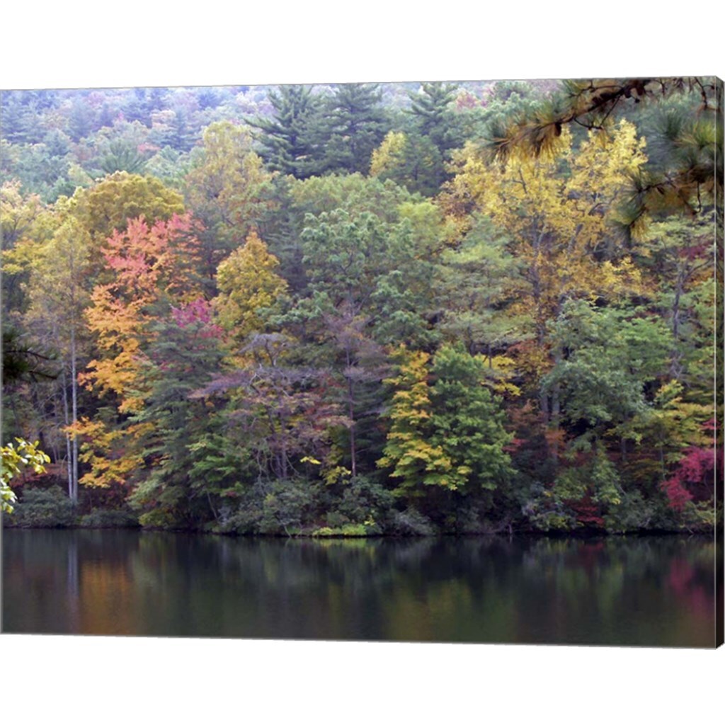 Painted Hillside by J.D. McFarlan 20&#x22; x 16&#x22; Canvas Wall Art