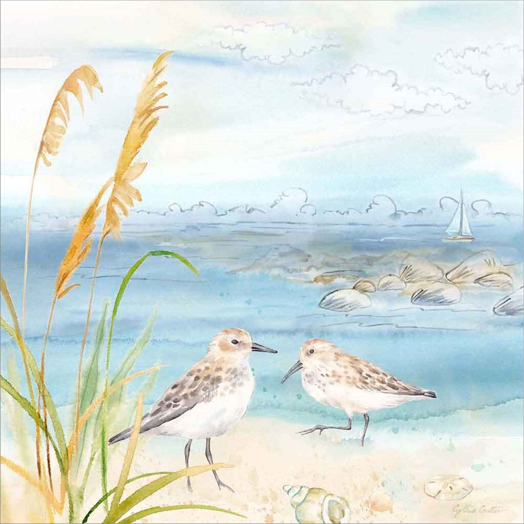 By the Seashore V by Cynthia Coulter 12" x 12" Canvas Wall Art