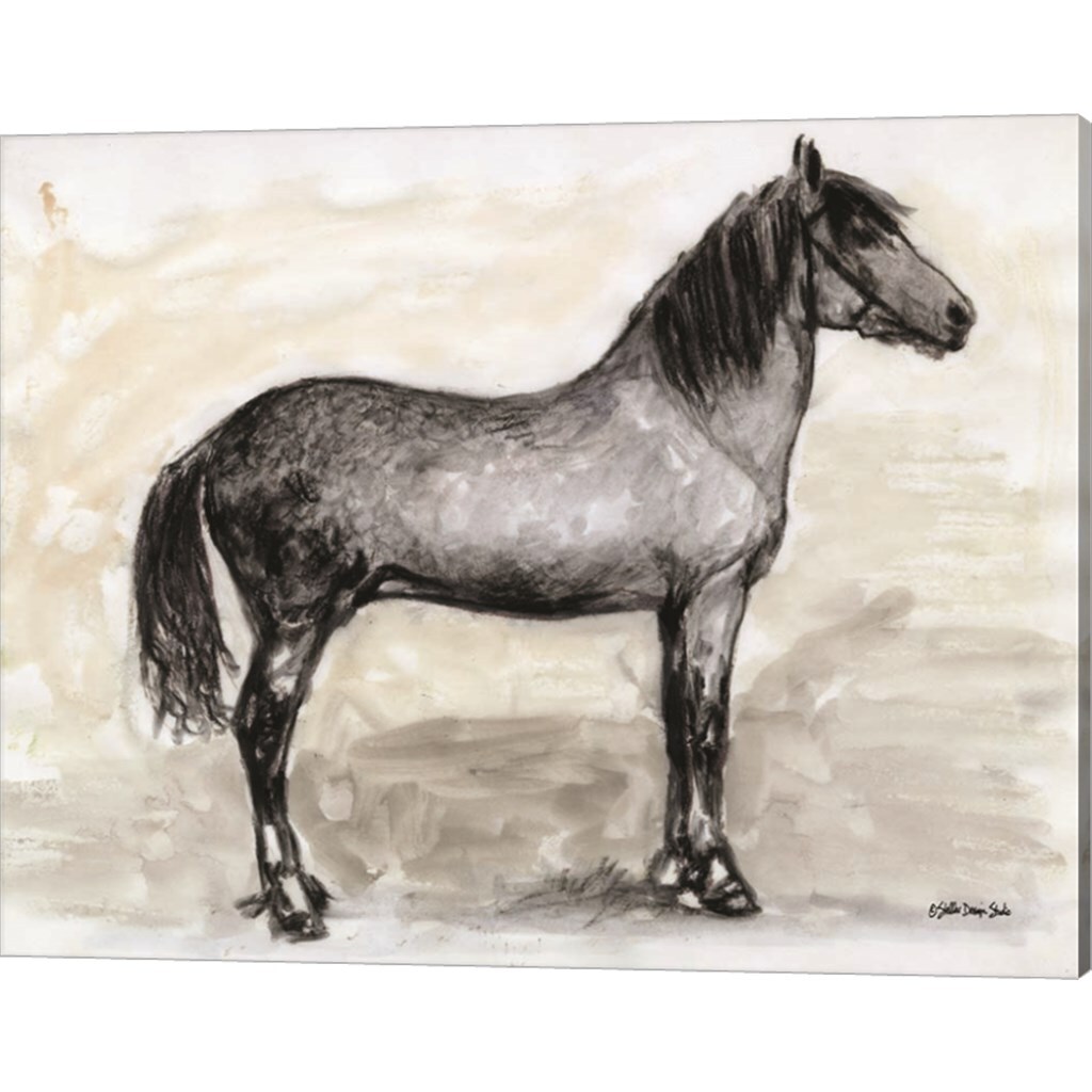 Horse Study 1 by Stellar Design Studio 20" x 16" Canvas Wall Art