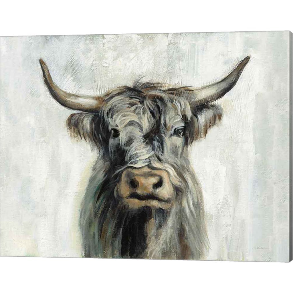 Highland Cow Horizontal by Silvia Vassileva 20" x 16" Canvas Wall Art