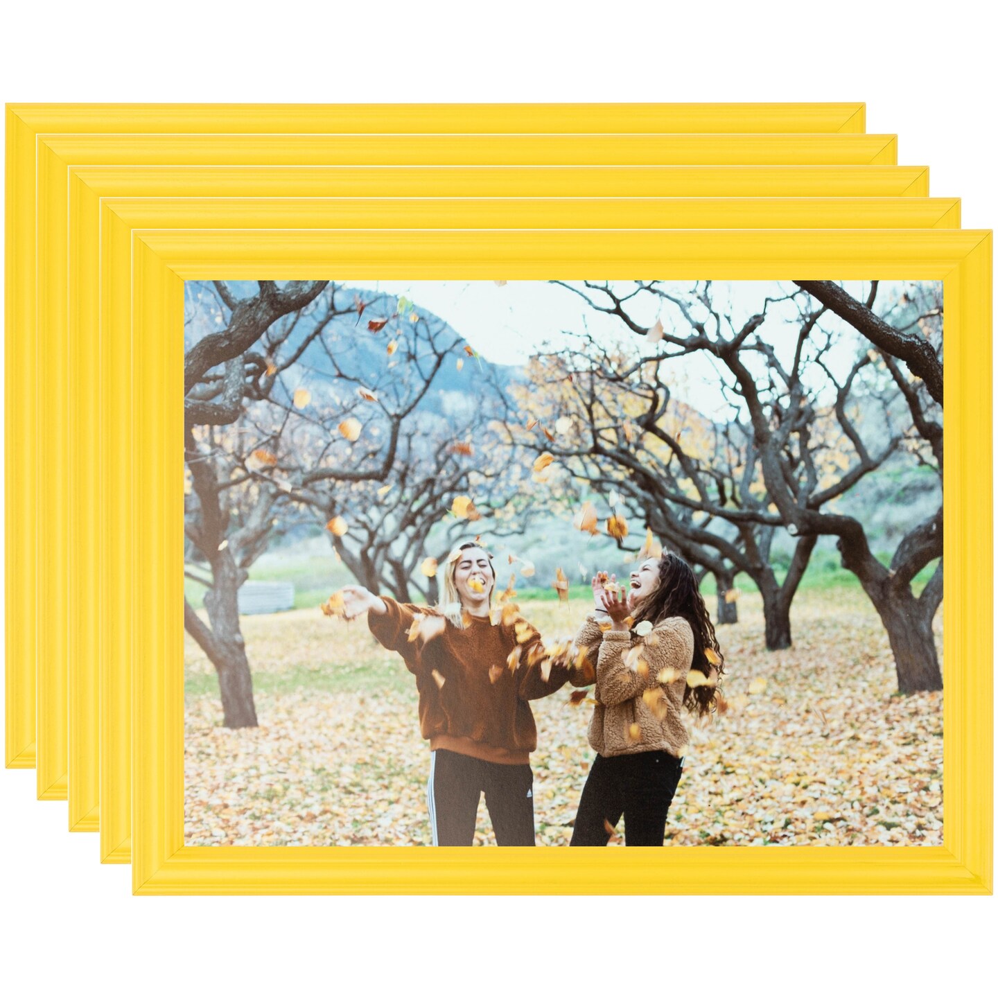 ArtToFrames 4x6 Inch Traditional Picture Frame, Multi Pack, Comes with Regular Glass (WOMPack-80-4x6)