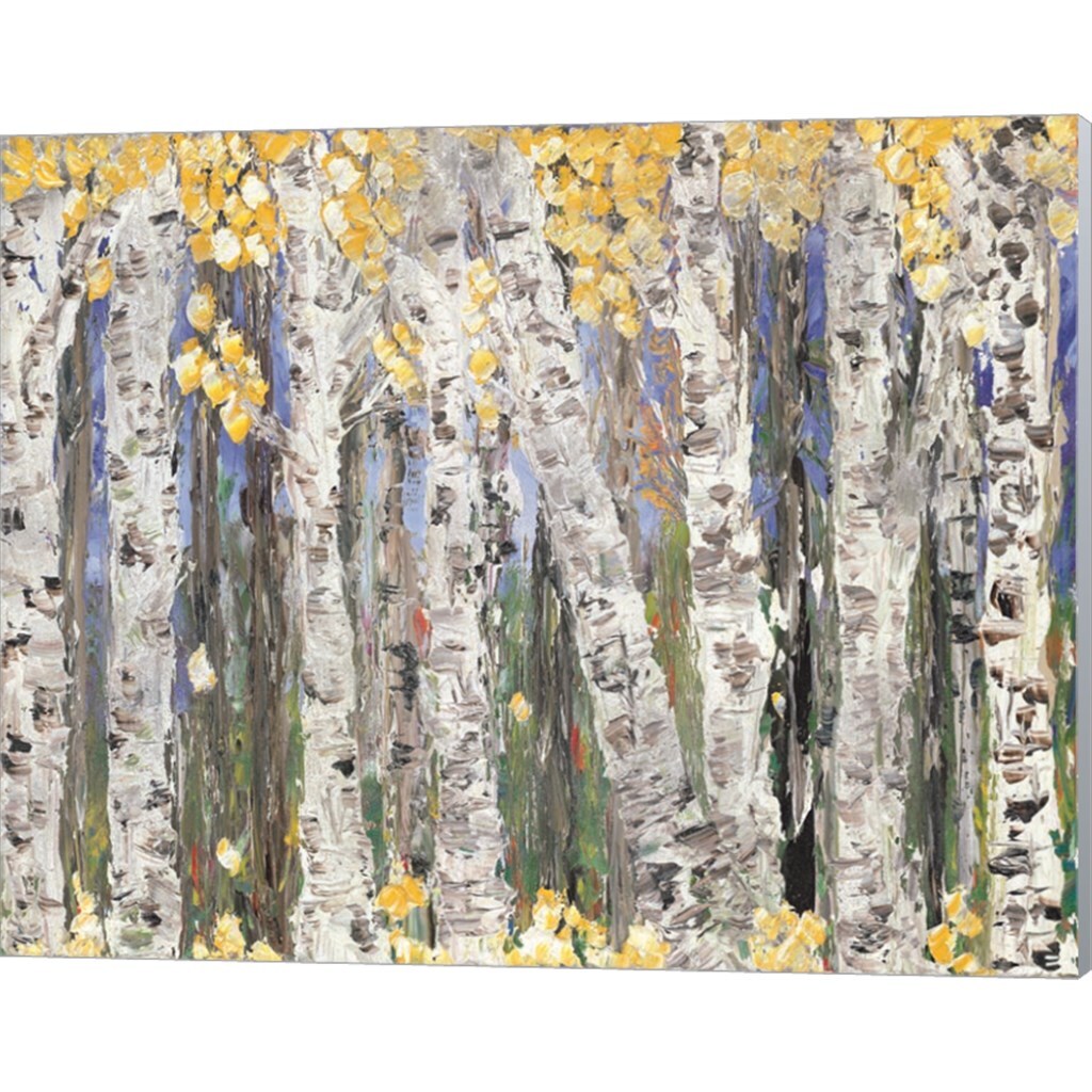 Yellow Leaf Birch Trees by Roey Ebert 20" x 16" Canvas Wall Art