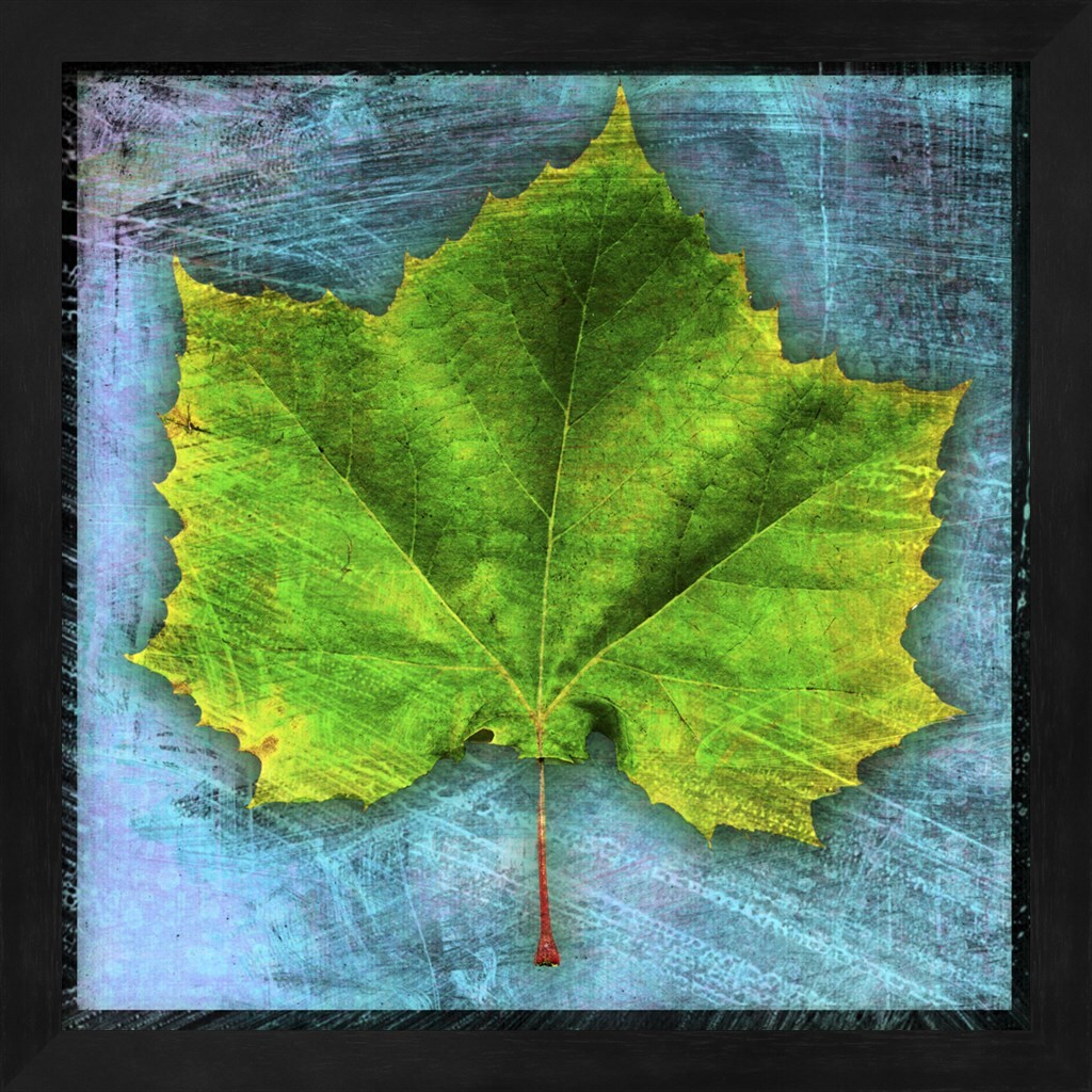 Sycamore by John W. Golden 13&#x22; x 13&#x22; Framed Wall Art